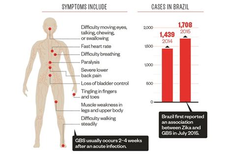 In autoimmune diseases, the immune system mistakenly attacks the body's own cells and tissues as if they were foreign invaders. Origins of the Zika outbreak and its potential threat | Infographic | Pharmaceutical Journal