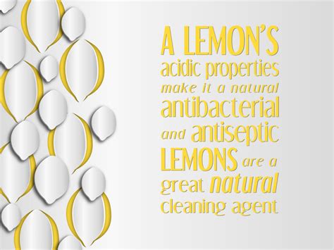 Lea Ann Bradford The Lovely Lemon