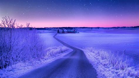 Road Between Snow Covered Land Trees House Under Starry Purple Pink Sky