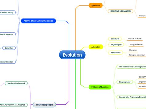 Evolution Mind Map