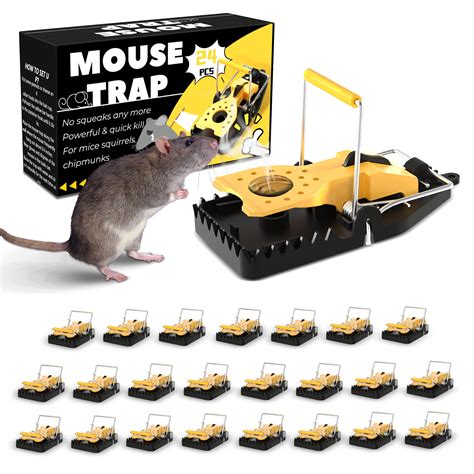 Buy ICFPWR Mouse Trap Rat Traps Indoor 24-Pack - Small Reusable