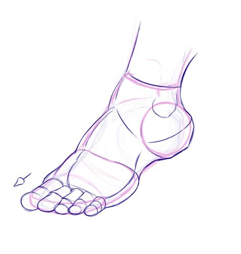 How To Draw A Foot From The Side Adkins Fricaunt