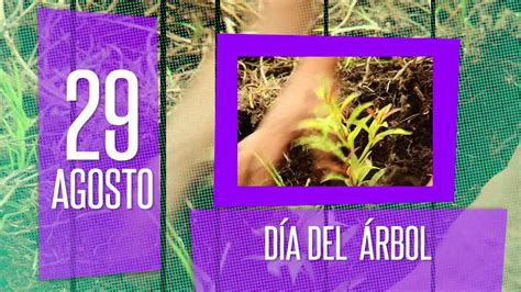 Buenos días y bienvenidos al diario as. 29 de agosto: Día del Árbol - YouTube