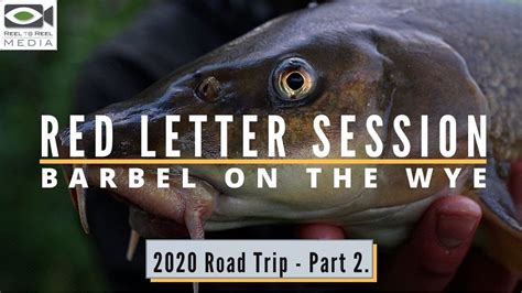 Barbel Fishing ~ On The River Wye (2020 Road Trip Part 2) - YouTube