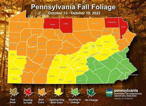 Fall Foliage at peak or getting close: weekly fall foliage report for