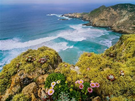 A Guide To Channel Islands National Park California