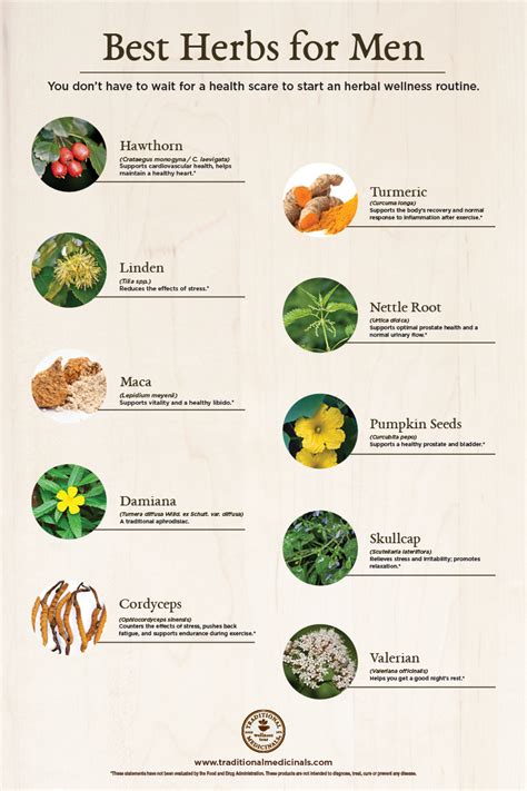 best herbs for men 10 herbs for male health and wellness get to know them on our plant power