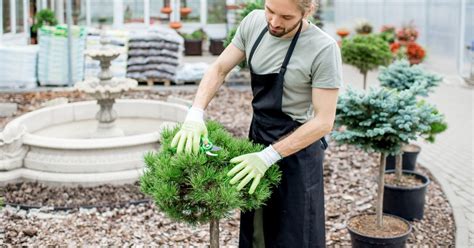 How To Become A Licensed Landscaper In 2023