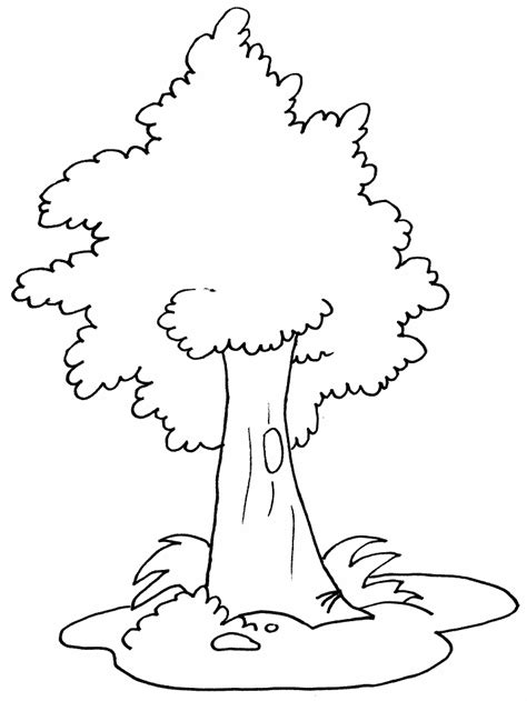 Free Printable Tree Coloring Pages For Kids