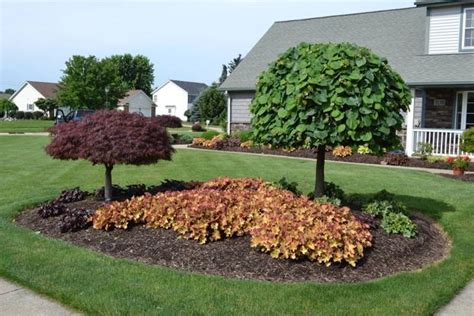 Island Bed Design Ideas Adding Interest To Yard Landscaping