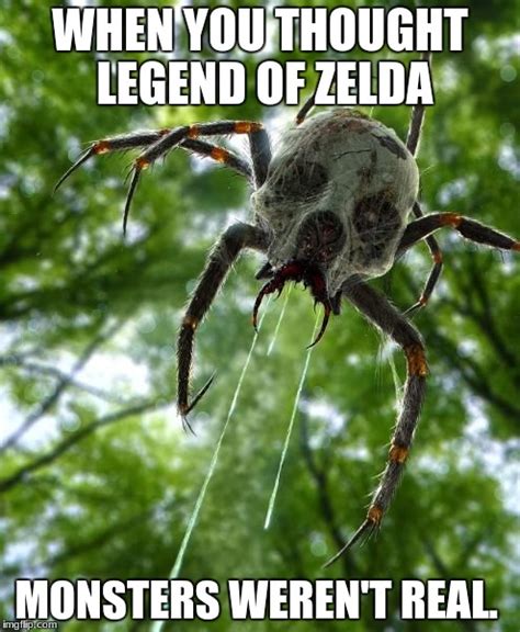 Legend Of Zelda Skulluta Real Life Imgflip