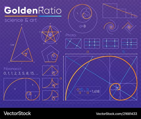 Set Of Golden Ratio Element Royalty Free Vector Image