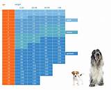 In this article, we'll help you navigate through this minefield and learn about cat growth. 20 Best Puppy Feeding Chart By Weight Age German Shepherd