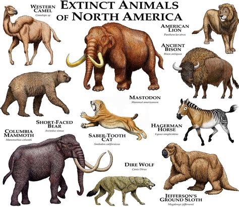 Extinct Animals List In The World
