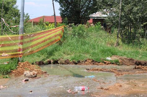 Check spelling or type a new query. Sewage spillage affecting Ward 37 White City residents ...