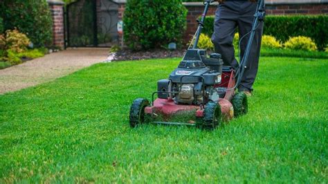 How To Make Your Grass Greener And Thicker 6 Tips For Texas Homeowners