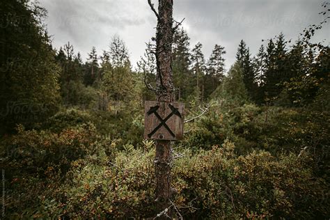 Crossed Hammers Sign On Tree In Forest By Stocksy Contributor Chris