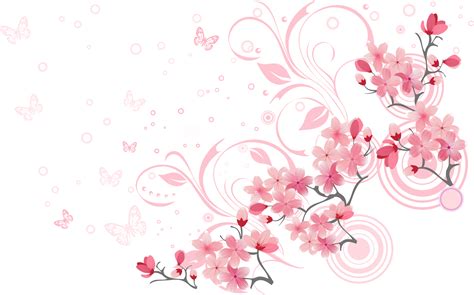Cherry blossom Euclidean vector - Beautiful cherry blossoms png gambar png
