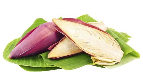 Check spelling or type a new query. Apa Bahasa Inggrisnya "Jantung Pisang"? - Kompasiana.com