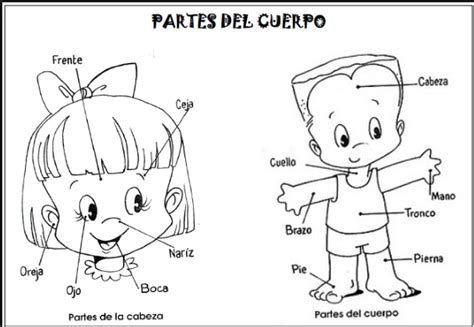 EducaciÓn Infantil Muriel Unir Imagen Las Partes Del Cuerpo
