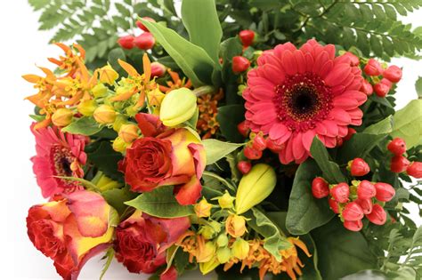 Ob sie einen blumenstrauß verschicken möchten, um einer lieben person zum festlichen anlass zu gratulieren oder eine kleine aufmerksamkeit zu verschenken: Blumenstrauß gemischt in rot/orange online kaufen