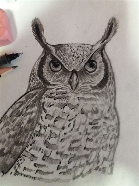 Dibujos A Lapiz Buhos Owl By Pauloraphael On Deviantart Owl Tattoo