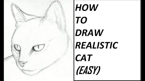 How To Draw Cat Realistic Easy Youtube