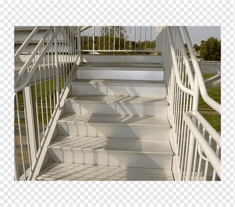 اللحوم، الكبدة، بذور عباد الشمس، الفلفل الحلو الملون، الخضروات الورقية الخضراء مثل السبانخ و التمر ليس صنف غني. سلم حديد للسطح : Ø³Ù„Ø§Ù„Ù… Ø§Ù„Ø³Ù‚Ù / كما ورد عن أبي ...