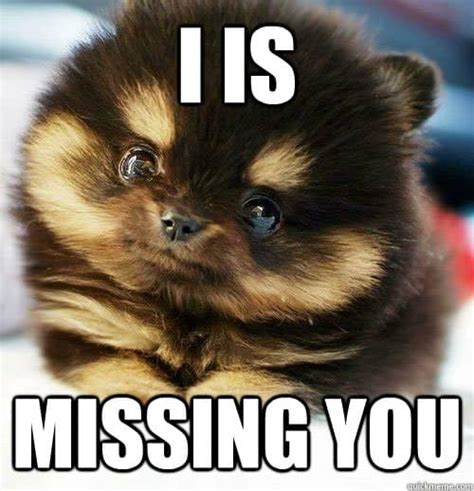 20 Funny I Miss You Memes For When You Miss Someone So Bad
