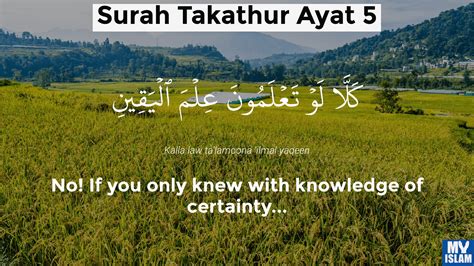 Surah Takathur Ayat 5 1025 Quran With Tafsir My Islam