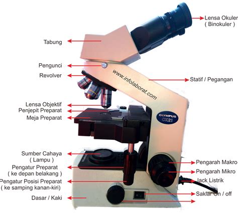 Bagian Bagian Dan Fungsi Mikroskop Binokuler Terlengkap MateriIPA Com