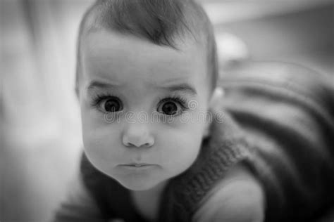 Angry Baby Boy Stock Photo Image Of Portrait Newborn 41284672