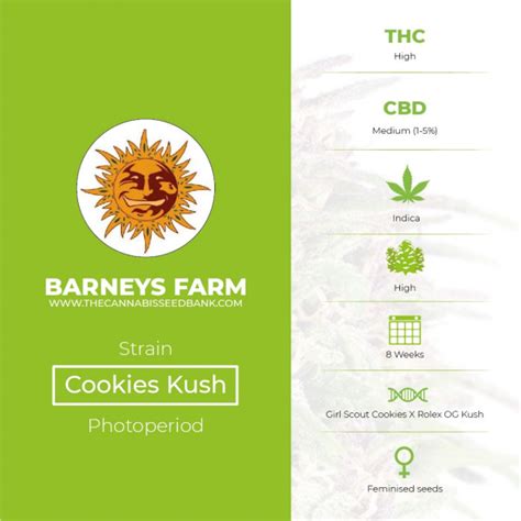 Cookies Kush Barneys Farm The Cannabis Seedbank