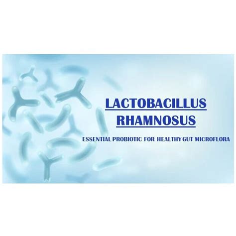 Anthem Biosciences Lactobacillus Rhamnosus Probiotic 1 2 Taste Eu