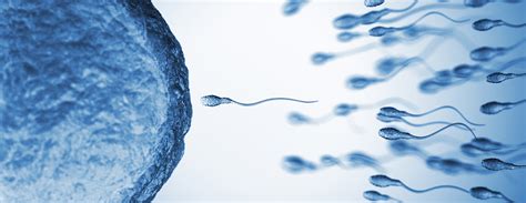 donor sperm insemination conditions and treatments ucsf health