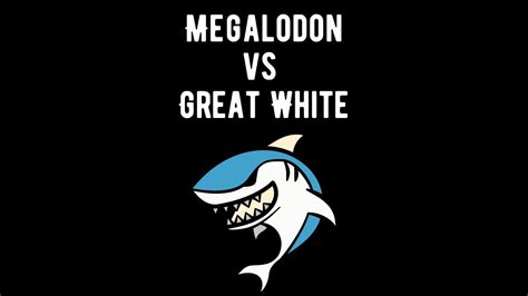 Megalodon Vs Great White Shark A Comparative Exploration Shark Truth