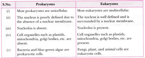 State The Differences Between Eukaryotes And Prokaryotes Cbse Class Science Learn Cbse Forum