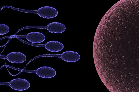 Sperm Abstraction Abstract Bokeh Life Sex Sexual Medical Dna Male Man Men 1sperm