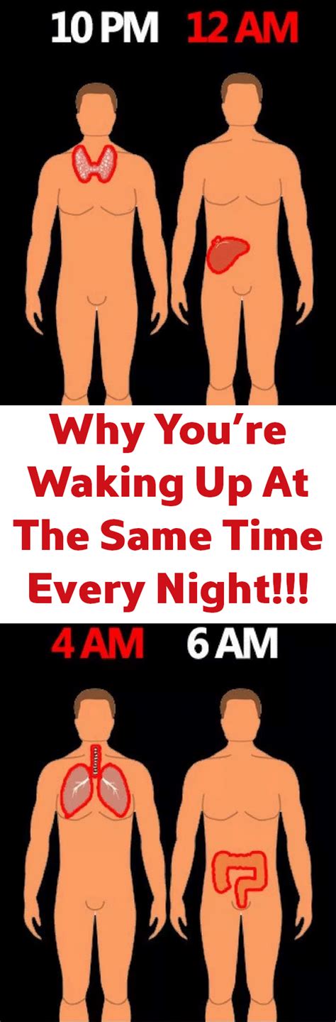Why Youre Waking Up At The Same Time Every Night How To Stay Healthy Healthy Fitness