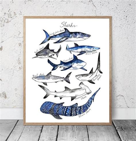 Watercolor Shark Print Nautical Decor Ocean Sharks Print Kids Etsy