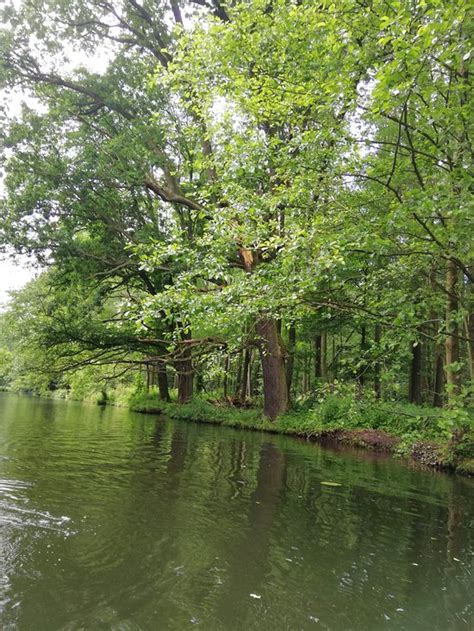 Each one of 60 spacious rooms provides tv telephone radio and a bathroom with shower. Besøk Spreewald i 2018: Det beste innen Spreewald ...
