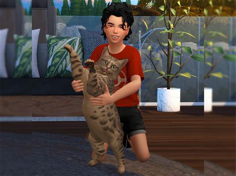 The Sims Resource Adorable Cat Pose Pack