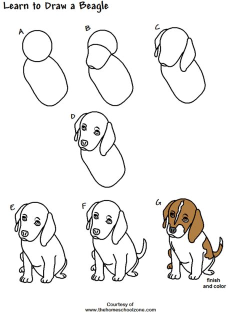 Como Desenhar Um Cachorro 25 Formas Fáceis E Divertidas