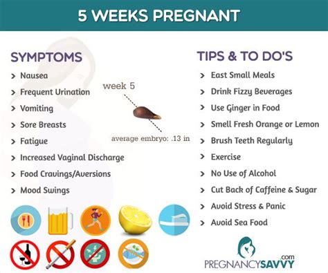 32 Best Images About Pregnancy Weeks On Pinterest Facts 23 Weeks