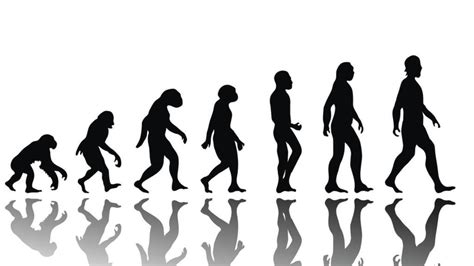Cómo Evolucionaremos Los Humanos En Los Próximos 200 Años La