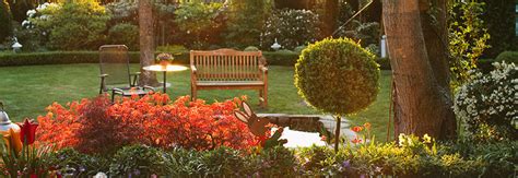 Alle preisangaben in eur inkl. Toom Baumarkt Angebote Garten - Toom Garten Speisekurbis ...