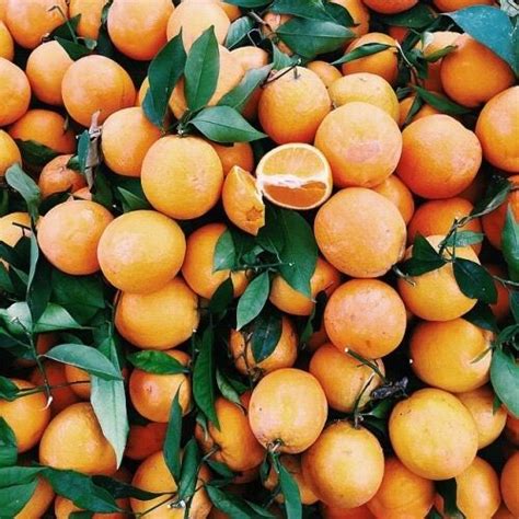 Pinterest ↠ Lottiedavidson1 Orange Aesthetic Orange Orange You Glad