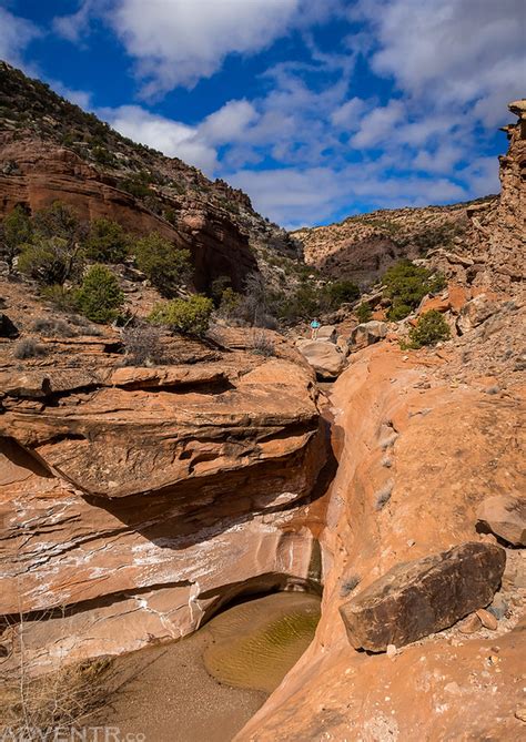 Welcome to minecraft dungeons part 5! Triangle Canyon: Cactus Park to the Gunnison River ...