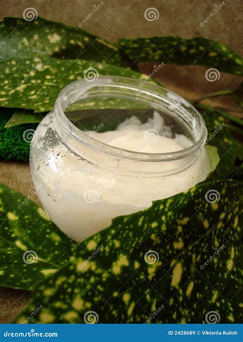 Moisturizing Cream With Leaves Stock Image Image Of Moisten Fashion