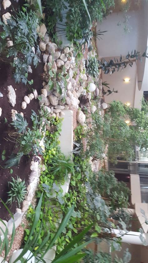 Hotel queen of montenegro | Montenegro, Hotel, Plants